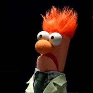 Meet your Posher, Patrick